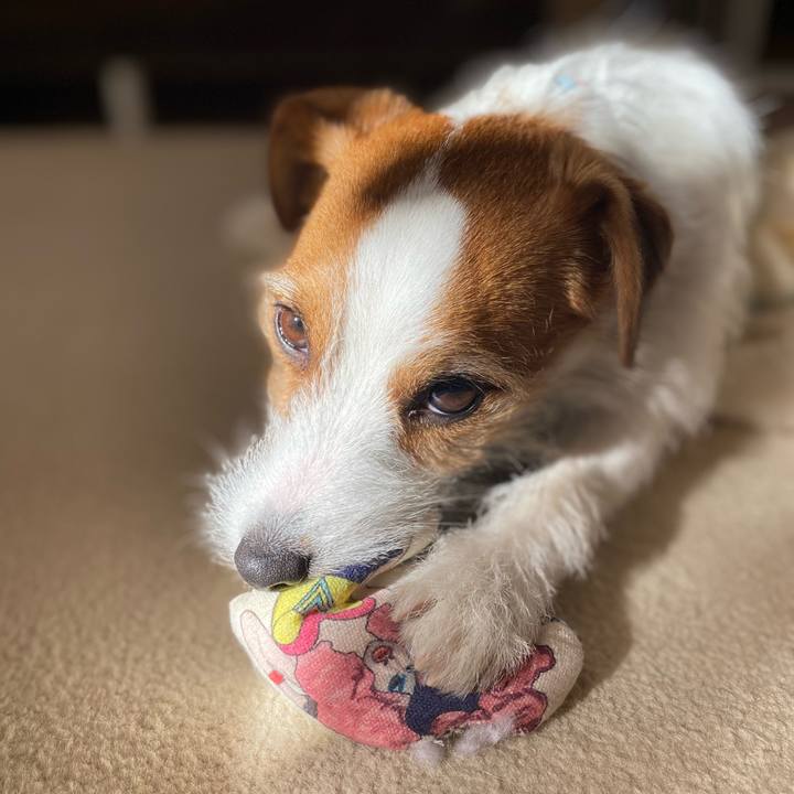 156caa06 9ea6 4161 a19b f7e6bcfce05e 1676076144595