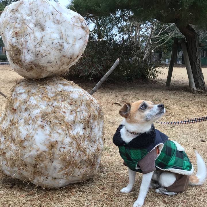 156cece8 43bf 44e6 91c9 0c898b6e0059 1549868317341