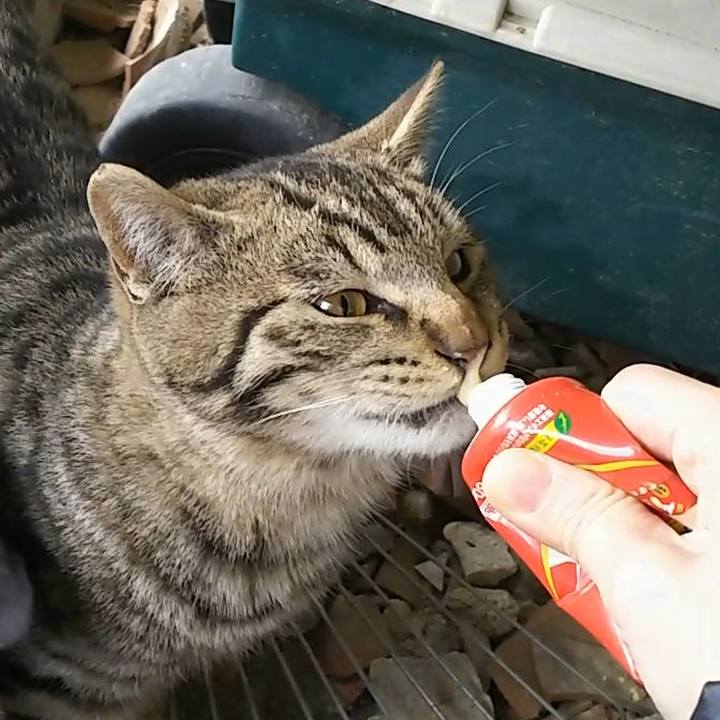 156d0003 b378 44ac b2ce 14817c8b2662 1550031145185