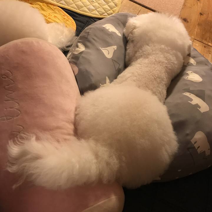 156d3b27 4b38 443c b454 c94d30c2d245 1567416164120