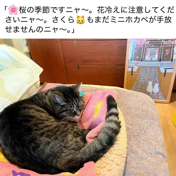 156d8a00 9ed4 4380 bd1c 189d154650aa 1773456336388