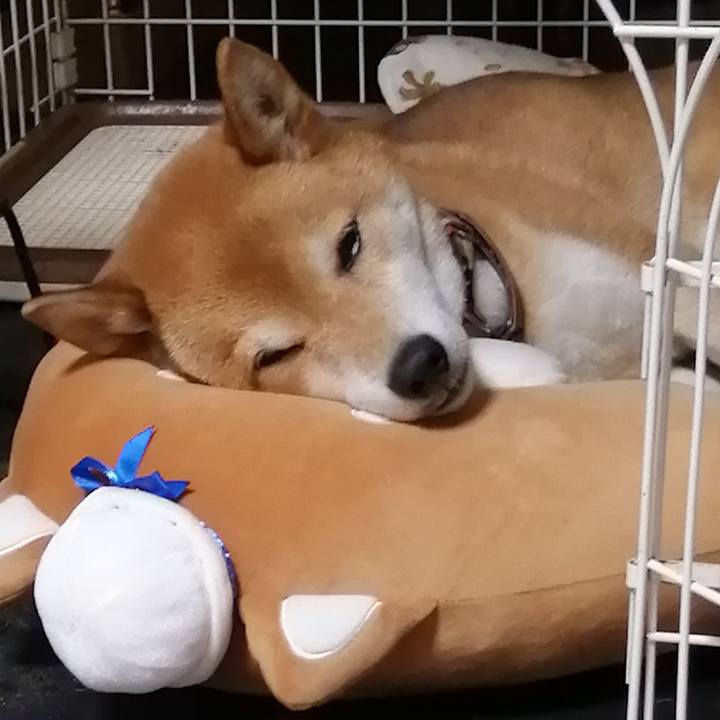 156da96c bba0 4048 8985 ca6e5076c1ca 1645973305990