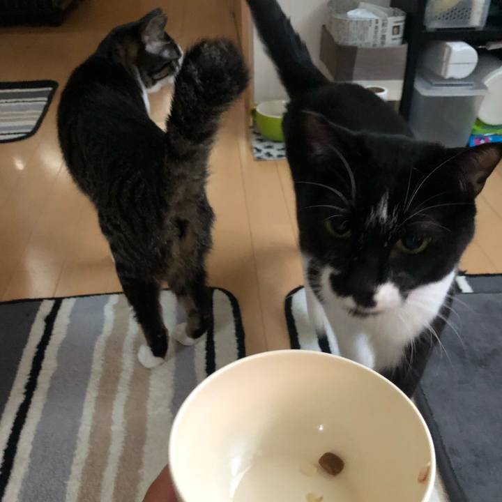 156db7be 0ab3 40ae a9b7 d9e0f742ca79 1586927502796