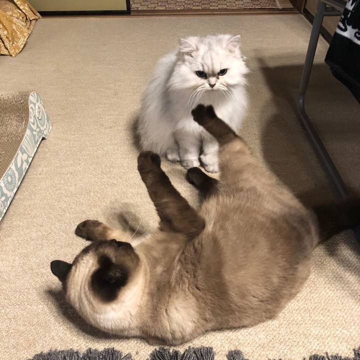 156dd908 b80f 4462 8ef2 16c6a883c16a 1613523283934