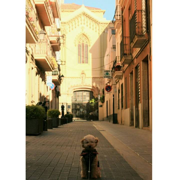 156de4d8 bed3 4562 891a a5885f8d512b 1548966717049