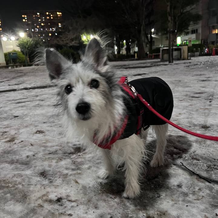 156e0664 e511 4fed aa7d ee2d9d3e54b4 1641633352381