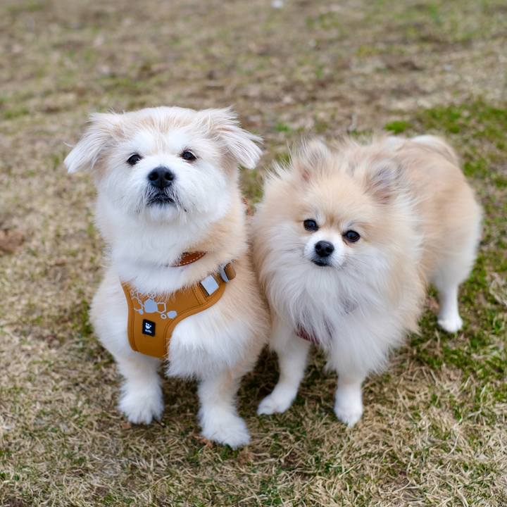 156e7282 6b75 4633 8ee9 fd33496c9969 1774941295408