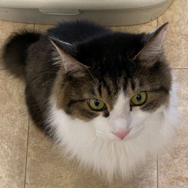 156e8940 92cc 4402 8988 3d624905145b 1670713653858