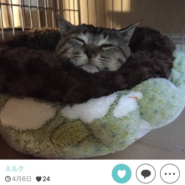 156e9af8 8ebf 4f31 9d22 85ee673b1103 1511690081603