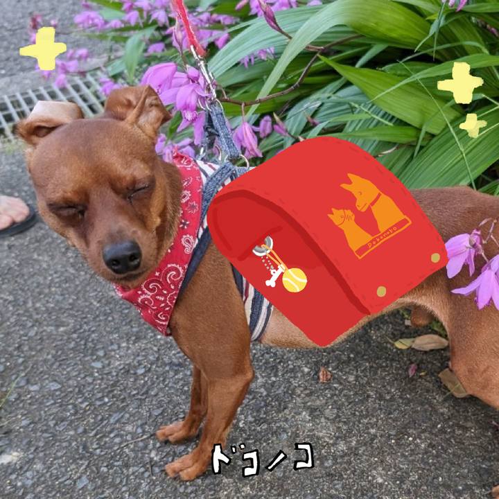 156ea880 f697 4d7f 8f9d ed14323437a2 1744814110167