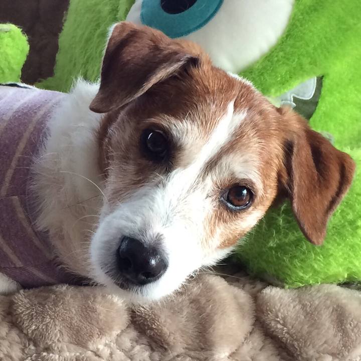 156eaee9 b418 4b78 9c50 cc2b95d24b80 1533912724647