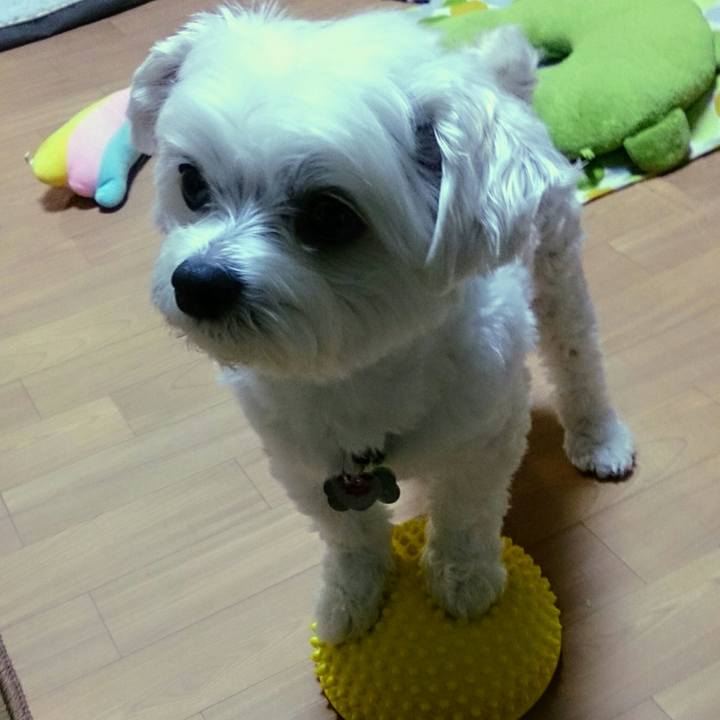 156eedd1 5449 44c0 a73b c329e6b6e18b 1522841962280