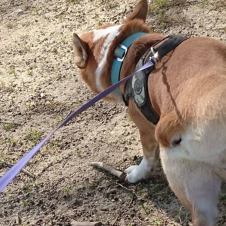 156f0314 c321 4160 ad9b 066e822c355e 1644560267157