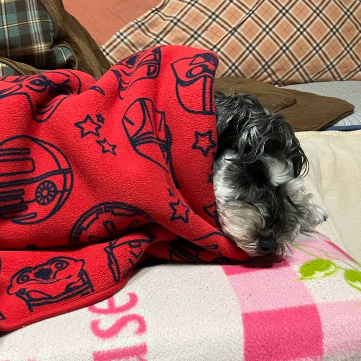 156f03cd 8cd1 4f48 83cf 31c731db3e96 1735620413395