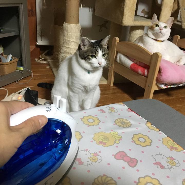 156f22c3 5d26 4578 b87f 6a0e02138628 1508594313957