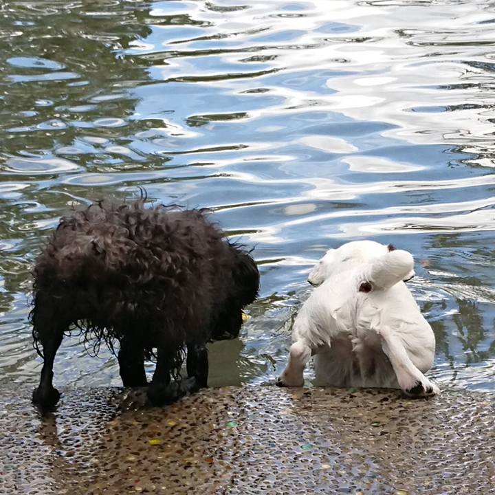 156f9fca d07e 464c ad21 5889a0ffbb3b 1536497288517