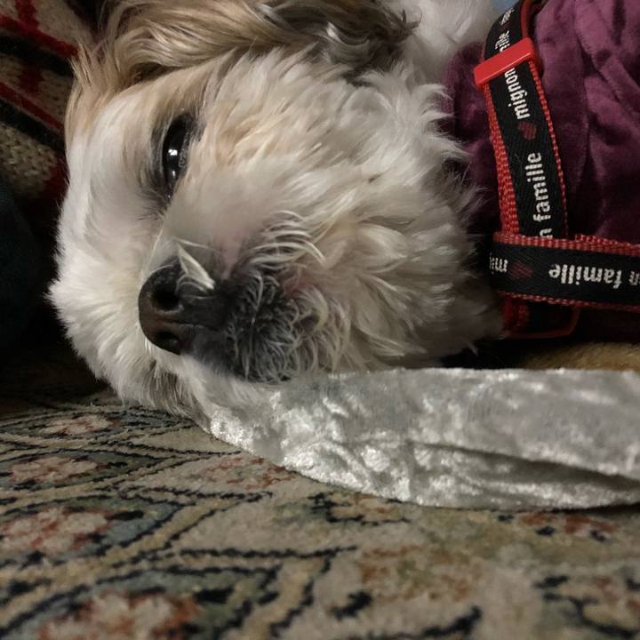 156fce5a 4827 4bea a2e8 b42e288b87d0 1588024376674