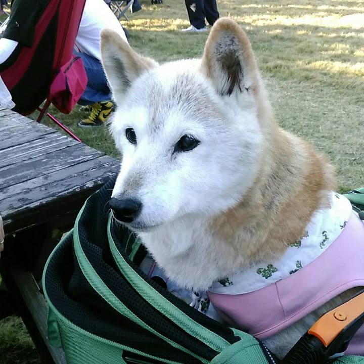 156fd5da ab21 4b03 81a3 8ef1f2f3b785 1573914122547