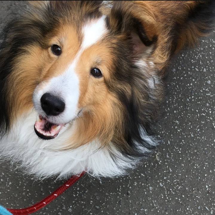 156fdda7 486f 4e71 b358 2f31f761a586 1753248667806