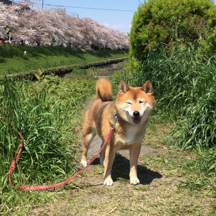 156fed82 ed75 4356 8335 7d3e1802453c 1586142581145