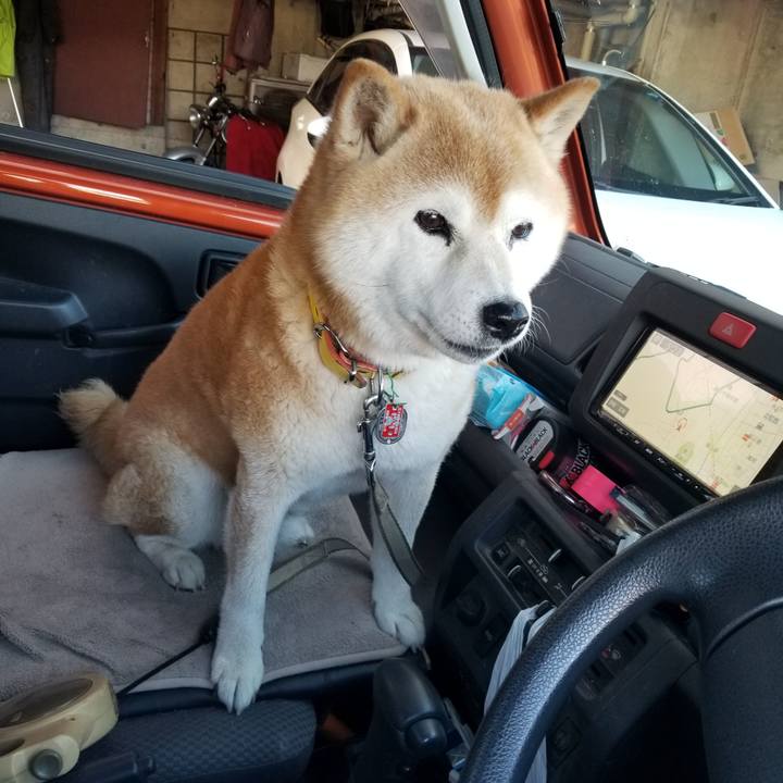 156ffdbb 9b18 4adb 8a5e 179aecffc253 1687162979295