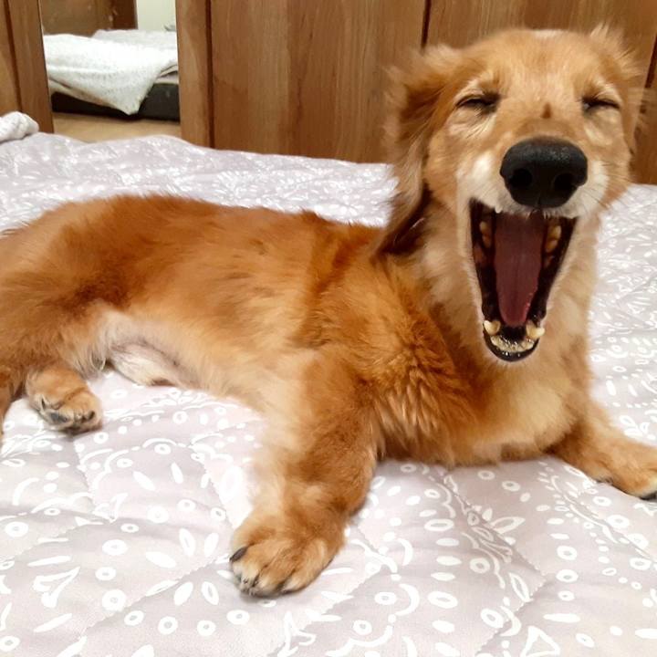 156ffede 2af0 4d17 a791 3e7fb41455f2 1659359363552