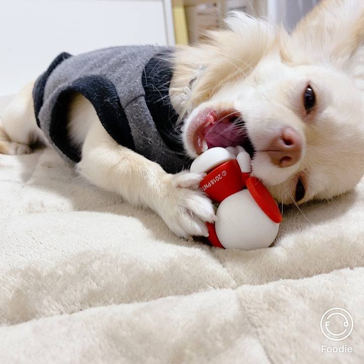 157041ec fe9e 4a97 8f8a 50ab9cb26368 1606701382283