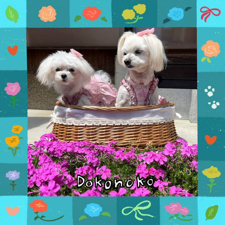 15704e7e 6637 433d 86f6 4724ee4bef72 1714967888476