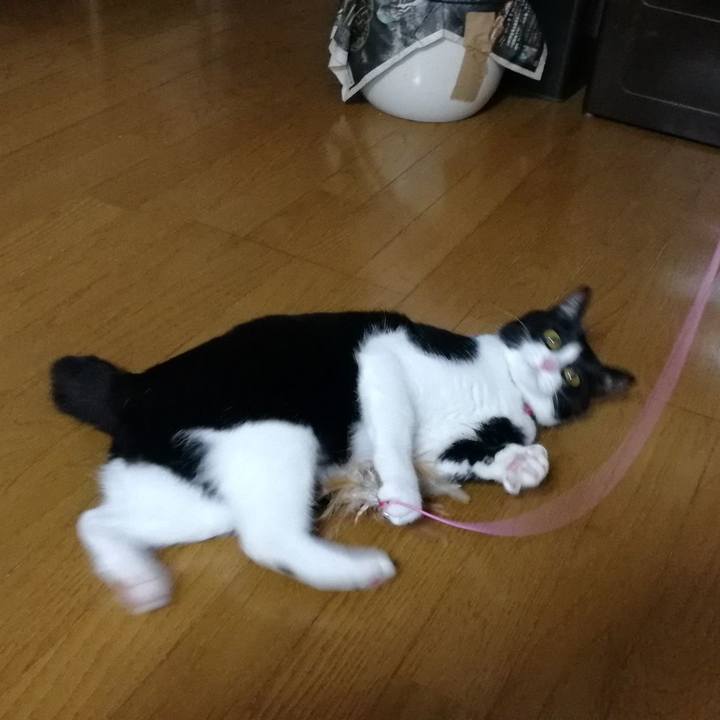 15705a45 8ae2 4402 9ef1 116400d69a1e 1553781404814