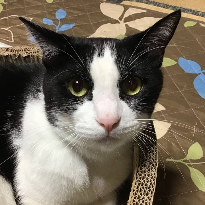 15707cec f319 4bbd a045 7d1b00480bb6 1729160158443