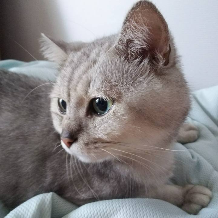 1570e4f2 cbef 40eb 89bb ee2f965b2a6c 1538185619983