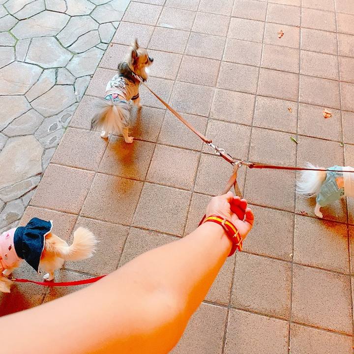 1570e9c7 49f6 4052 877e 819281e89412 1634020548766