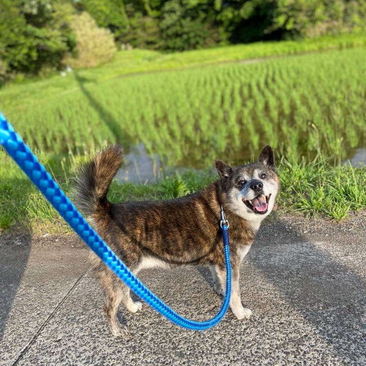 15710529 ba35 48e8 a597 cee87d33917c 1685786059390