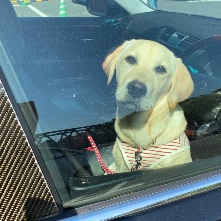 15710dab de5f 440e b816 106e6833cdcc 1618908437536