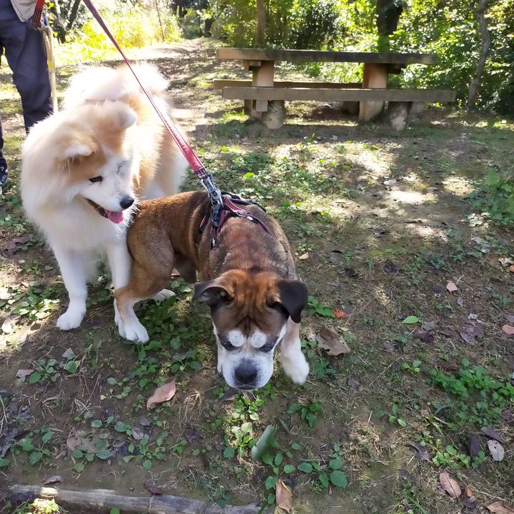 15713f02 be2c 4f3f b853 af1b41a9fb17 1635078119604