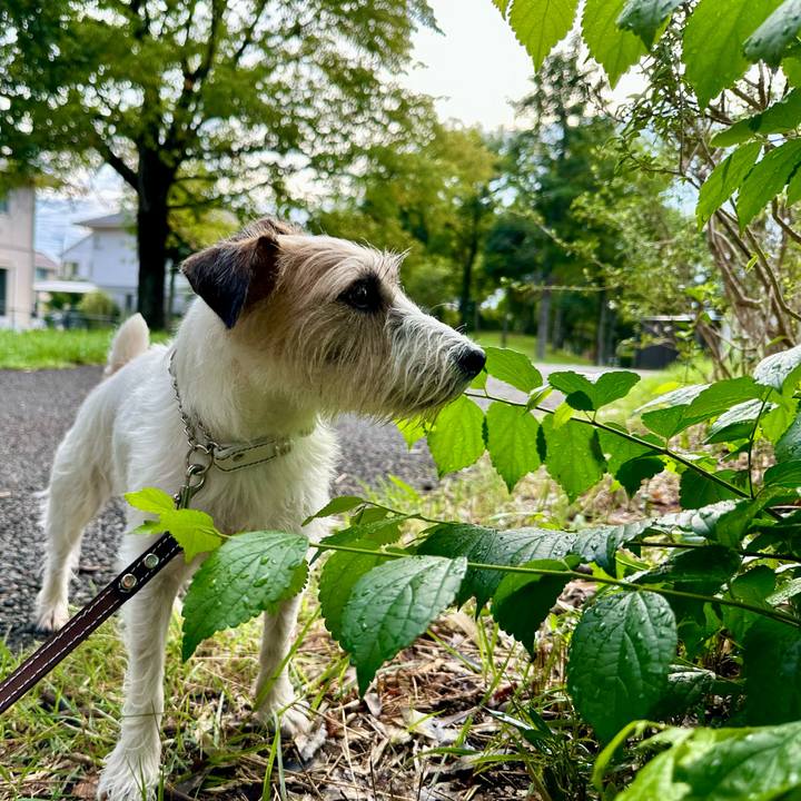 15715f05 b0f4 4495 b4be db0aeadf91a3 1725197755732