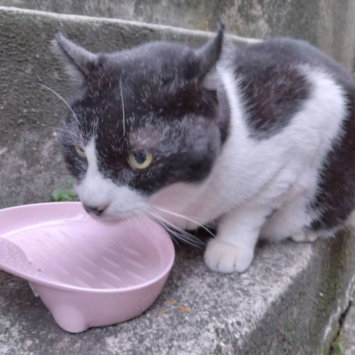 1571768e 0bba 457b 9561 e778ac6c27a2 1699084538734