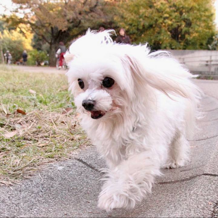 1571b2e7 c98f 41a1 8970 93c29d8e935e 1758682984901