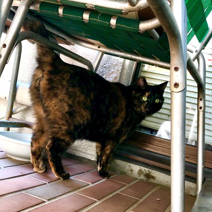 1571b89b a3c0 4316 a293 4ff4f61d43cf 1519114162039