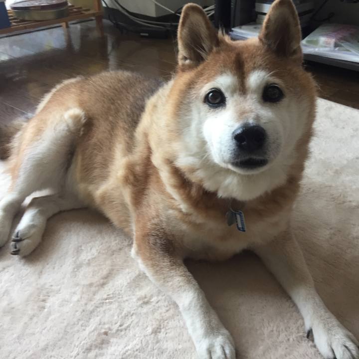 1571ee87 e81d 4d56 9d38 bcf2a50dffec 1533341140638