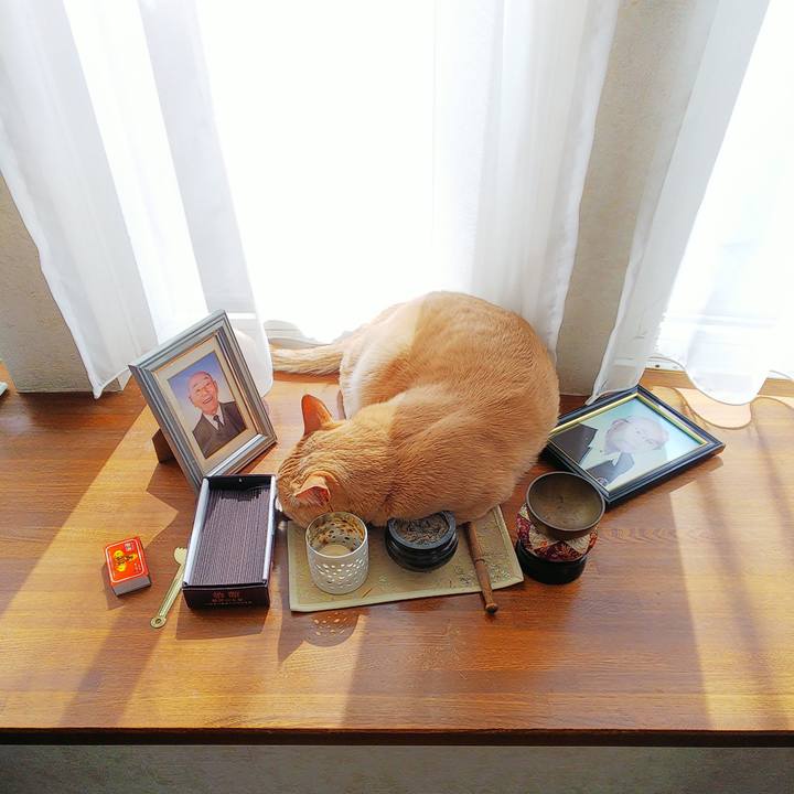 157213f2 8f5c 4328 a2a0 d2e222f56313 1648343606498