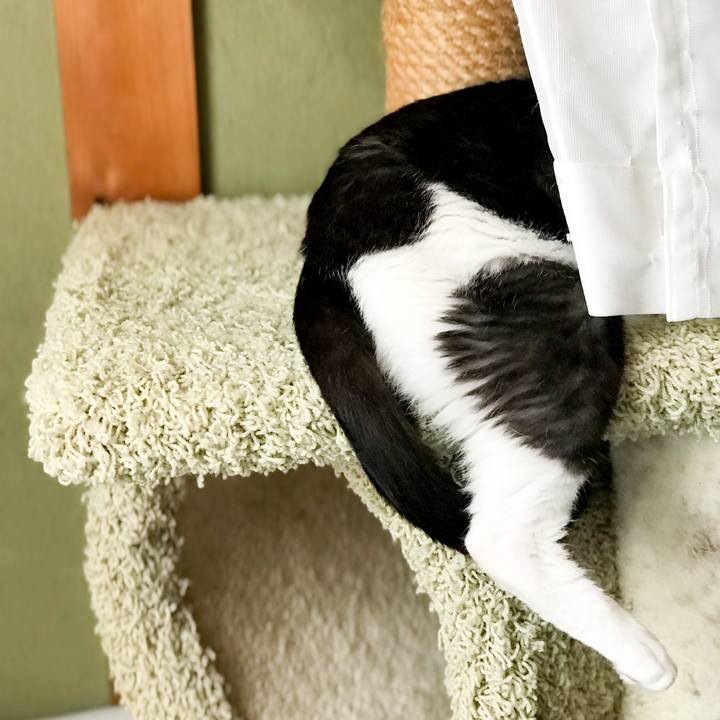 15724f77 fb59 425f a225 93e2f10ac5d7 1534644110300