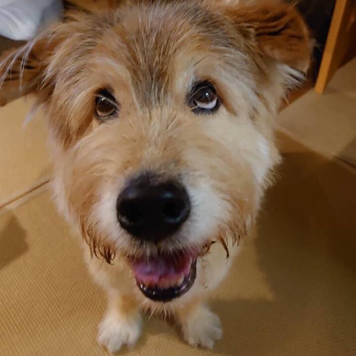 157279d9 7901 4a39 a8cb dcb9c9d6cc46 1631620781578