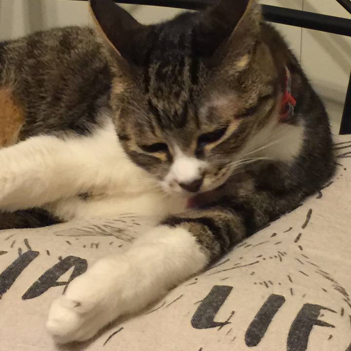 1572bddf 99ac 4851 b977 bc391c29c69c 1547739503200