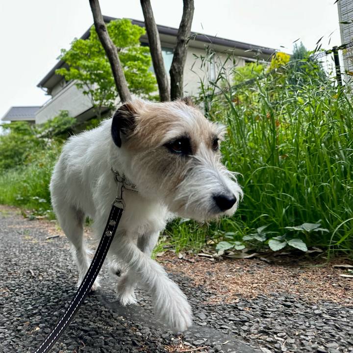 15730ad3 7046 4c13 90a3 cd1e8061c222 1747357656883