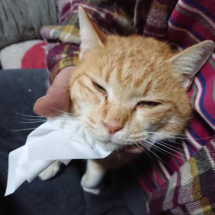 15732017 f6f6 430e 90cc 679b130e2639 1578900122486