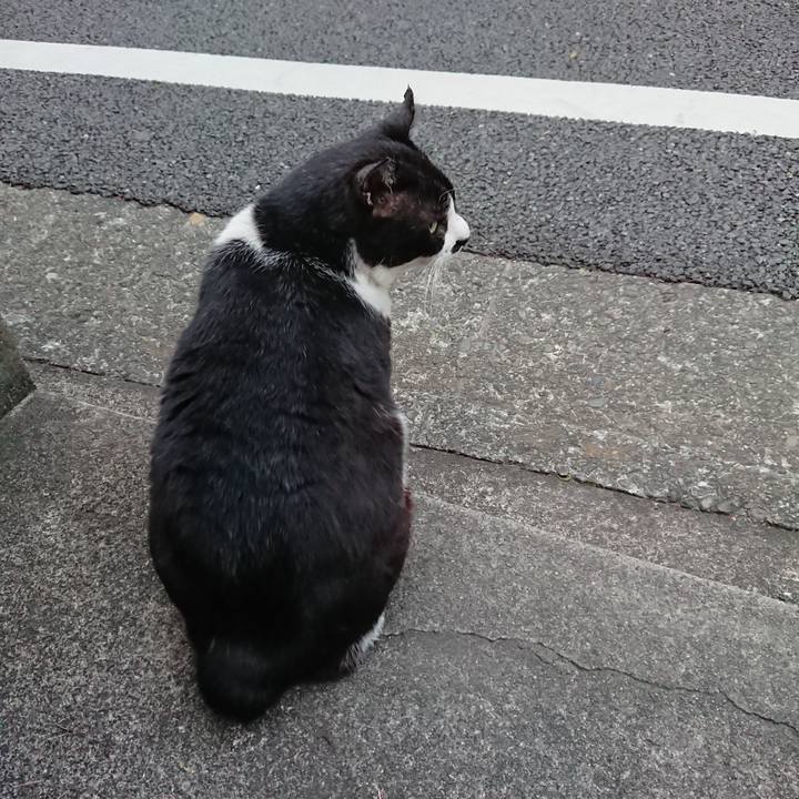 157374df 2a2a 40c7 87cf 6403e4e401d3 1584867042496