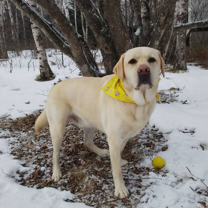 1573e136 34b8 4a88 812b ba167bd96218 1549847288253