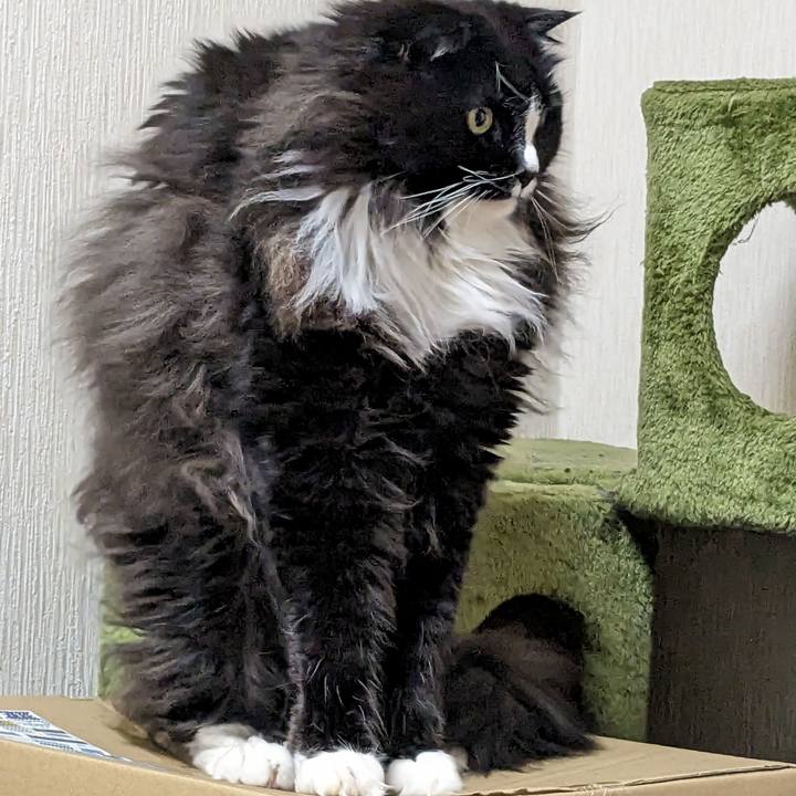 157430d8 34e2 4354 abdc 2ce8aa2fe5e4 1701953486025