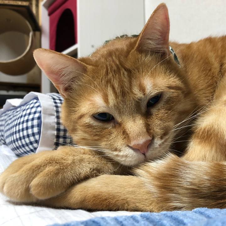 157453d7 bb13 4619 9322 8af97fd2d738 1580996423660